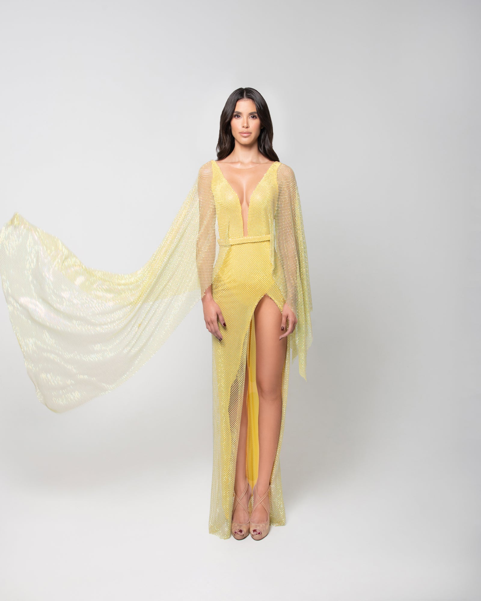 Swarovski Yellow Net Dress